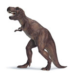 tyrannosaurus, t rex